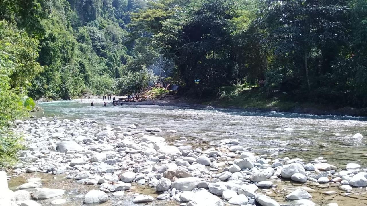 Rambai Tree Jungle Lodges Bukit Lawang Exterior photo